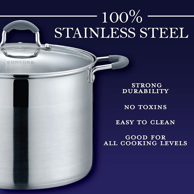 CONCORD Stainless Steel Stock Pot with Glass Lid (Induction Compatible) ((10 QT)