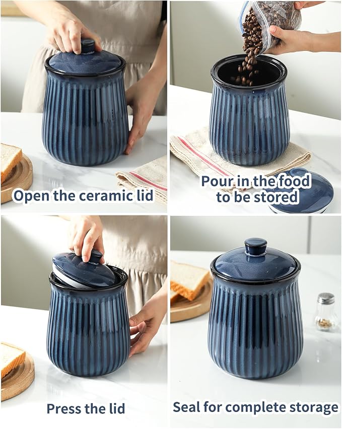 Hasense Storage Containers for Kitchen Counter, Airtight Food Jar with Lid, 88 oz Cookie Candy Jar for Coffee Beans, Tea-leave, Sugar, Salt, Flour, Spice, Dog Treat Container, Blue