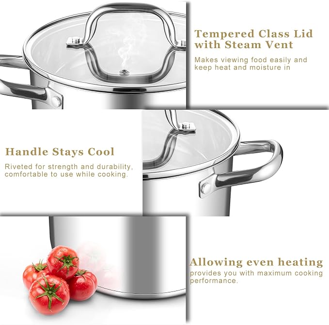 Leonyo 6QT Stock Pot with Lid, Stainless Steel Cooking Stockpots Induction | Visible Lid & 3-Ply Base for All Stoves, Heat-conducting & Heavy-Duty