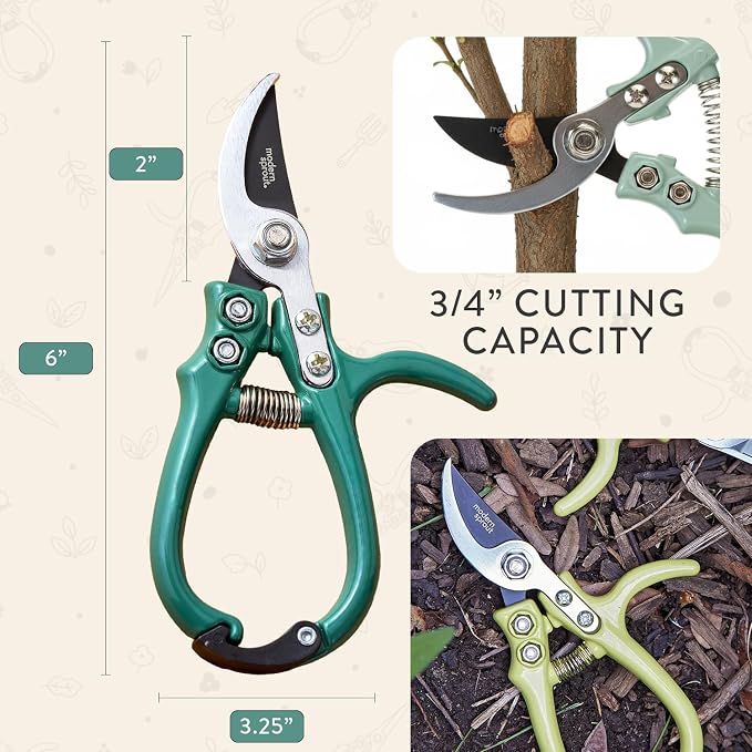 Modern Sprout Bypass Hand Pruners - Scissors - Gardening Tools - Ocean | Lightweight Pruning Tool W/ Easy-Lock - Sharp Bypass Carbon Steel Blade - Rust-Resistant - Reusable Holster for Storage