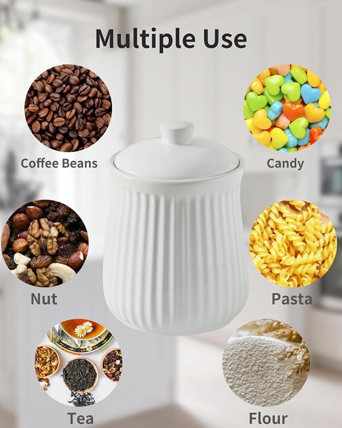 Hasense Food Storage Containers with Lids, 88 oz Ceramic Food Storage Jar, Airtight Cookie Candy Jar for Coffee Beans, Tea-leave, Sugar, Salt, Flour, Spice, Dog Treat Container, Microwaveable, White