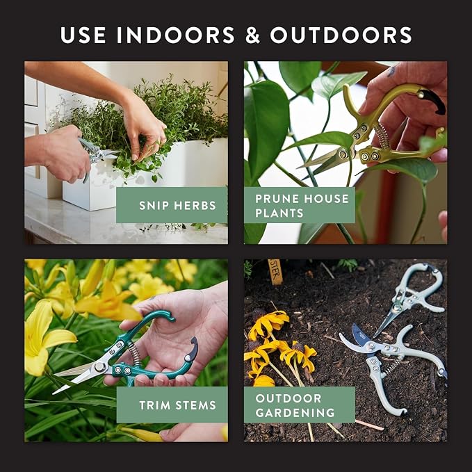 Modern Sprout Pruning Shears - Garden Snips - Herb Scissors - Multi 4-Pack | Lightweight Gardening Tool - Durable Carbon Steel Blade W/Easy-Lock - Gardening Supplies - Flower Cutter - Reusable Holster