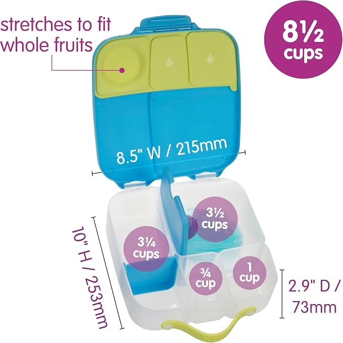 b.box Lunch Box, 8.5 Cup Bento Box for All Ages, Snack Box, Food Containers | Lunch Box Kids + Adults, Lunch Containers, 4 Compartments, Leak Proof, Dishwasher Safe, BPA Free, PFAS Free — Ocean Breeze
