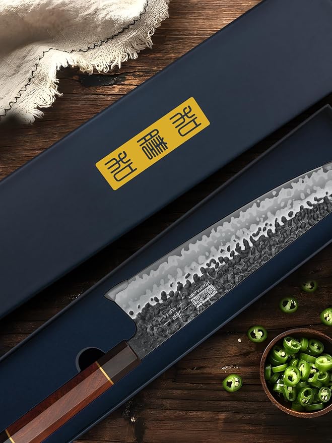 HOSHANHO 9 Inch Kiritsuke Chef Knife, Japanese Hand Forged Kitchen Knife | 9 Layers 10Cr15MoV High Carbon Steel Chef's Knives, Professional Cooking Knife with Ergonomic Rosewood Handle