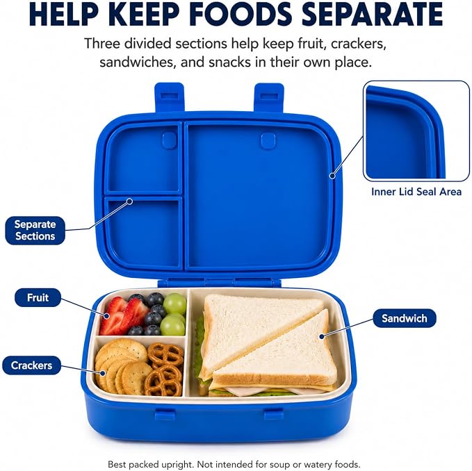 MISS BIG Kids Bento Lunch Box, Blue Dinosaur, Microwave Safe, 800ml | Boys lunch box with 3 sections for school meals, daycare, preschool, kindergarten, and microwave-safe reheating