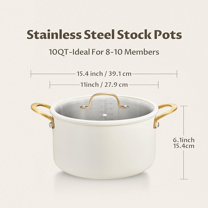 BEZIA 10 Quart Full Clad Try-Ply Stainless Steel Stock Pot, Induction Ready | Large Soup Pot with Silent, Tight-Seal Silicone-Rimmed Lid, Oven & Dishwasher Safe, for Large-Batch Cooking & Entertaining