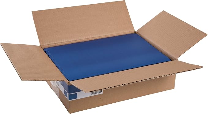 Royal Blue Disposable Placemat 9.25 Inch x 13.25 Inch, Package of 1000
