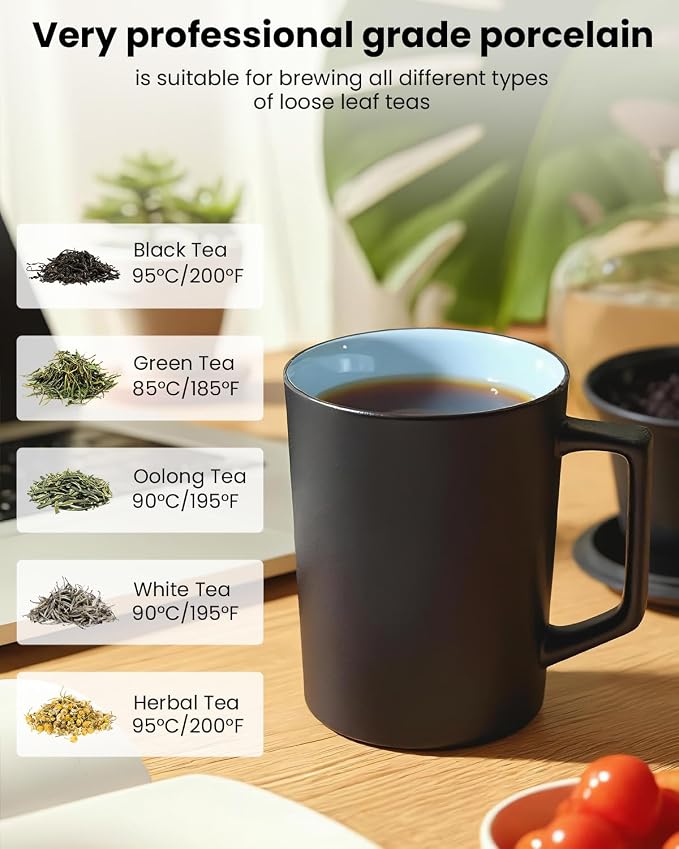 15 oz Ceramic Tea Infuser Cup with Lid - Tea Mug with All Porcelain Strainer for Loose Leaf Teas,Microwave and Dishwasher Safe,Metal-Free,BPA-Free for Tea Lovers/Birthday (Black)