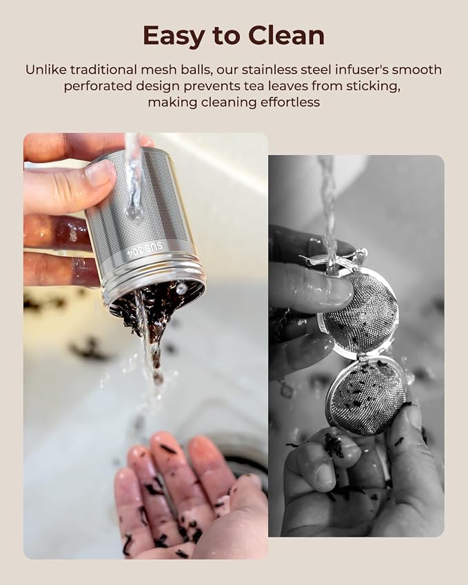2 Pack Reinmoson Large Tea Infuser for Loose Tea & Spice Ball for Cooking | 304 Stainless Steel Extra Fine Mesh Large Tea Strainer, 2.1” x 2.9” Loose Leaf Tea Steeper for Black Tea, Rooibos, etc
