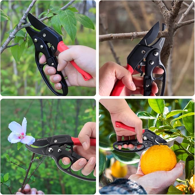 Premium pruning shears for gardening, Work 3 times easier, Pruners heady duty, Sharp garden clippers cuting florist flower, hedge, herb, rose, Indoor live plants, Arthritis weak hand snips