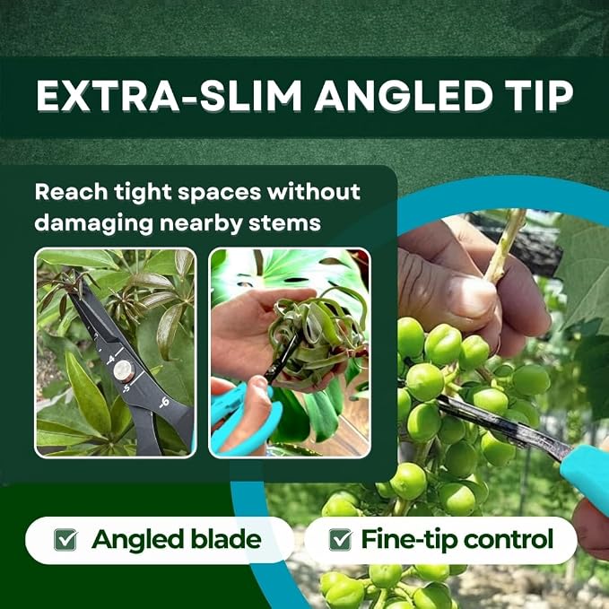 Saboten Japanese Harvesting Shears, Magnetic Springless, Fine-Tip Angled Blade, Fluorine-Coated Steel, Non-Slip Grip, Safety Lock, Made in Japan (Turquoise)