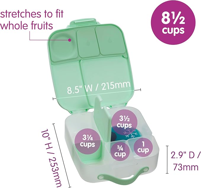 b.box Lunch Box, 8.5 Cup Bento Box for All Ages, Snack Box, Food Containers | Lunch Box Kids + Adults, Lunch Containers, 4 Compartments, Leak Proof, Dishwasher Safe, BPA Free, PFAS Free — Spearmint