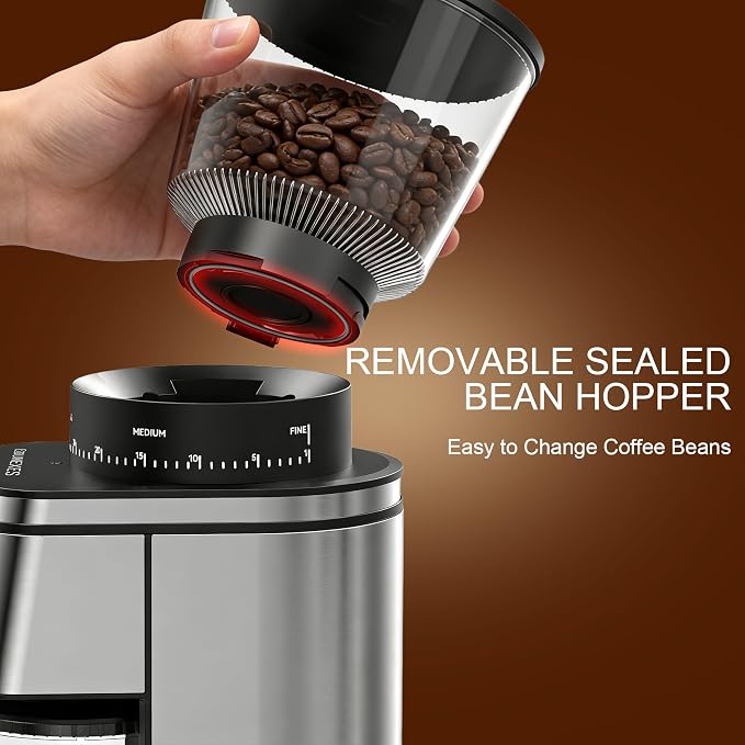 Conical Burr Coffee Grinder Electric,Stainless Steel Coffee Grinder for Home, Adjustable Burr Grinder with 30 Grind Settings, Digital Timer & 2-12 Cup Control, Removable Sealed Hopper, silver