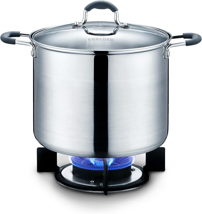 CONCORD Stainless Steel Stock Pot with Glass Lid (Induction Compatible) ((10 QT)