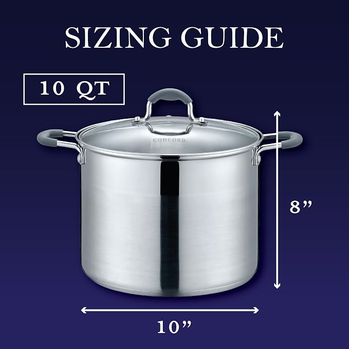CONCORD Stainless Steel Stock Pot with Glass Lid (Induction Compatible) ((10 QT)