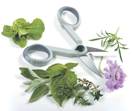 Norpro My Favorite Scissors (1536)