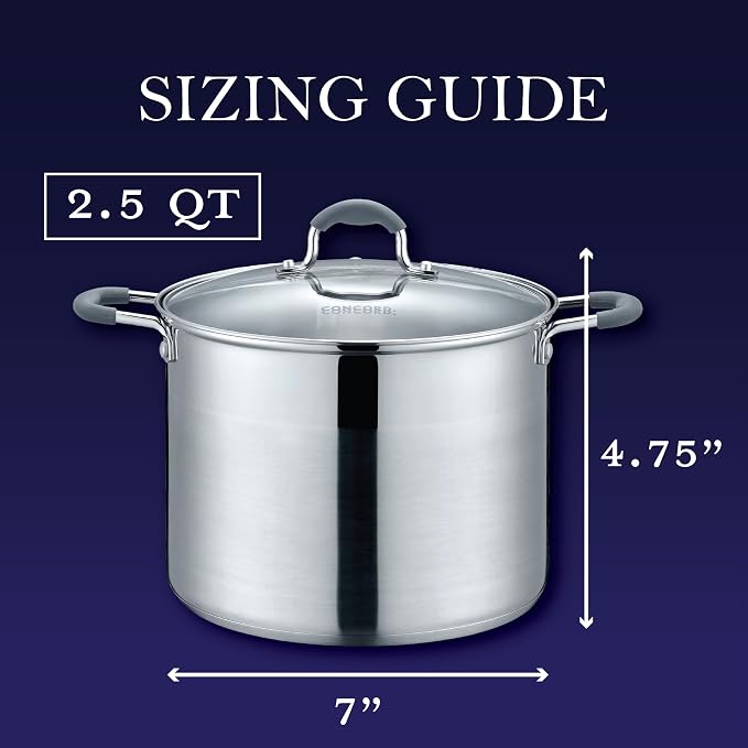 CONCORD Stainless Steel Stock Pot with Glass Lid (Induction Compatible) ((2.5 QT)