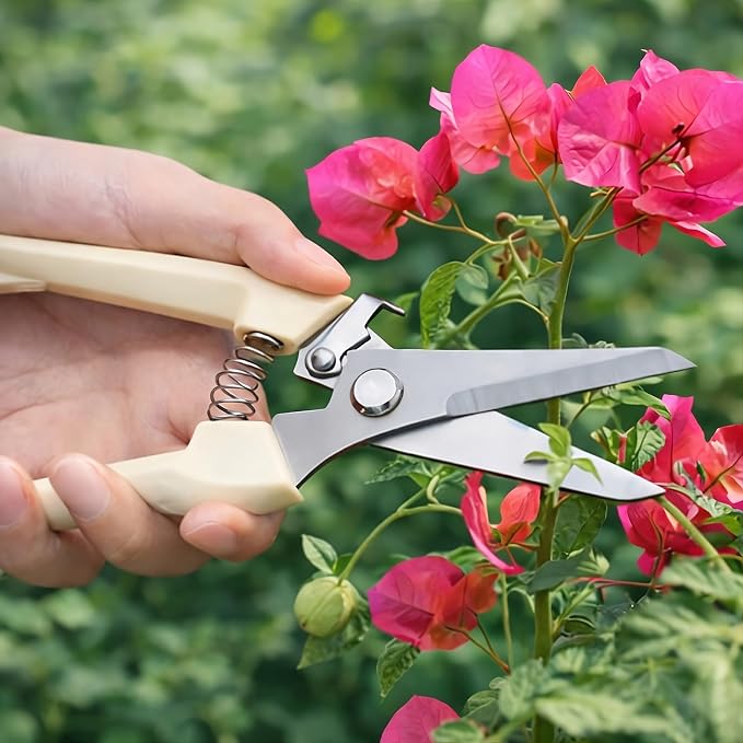 Pruning Shears,Ahoooot 2Pcs Pruning Shears for Gardening,Professional Garden Shears for Flowers, Bonsai and Fruits Picking (1pc Straight & 1pc Curved)