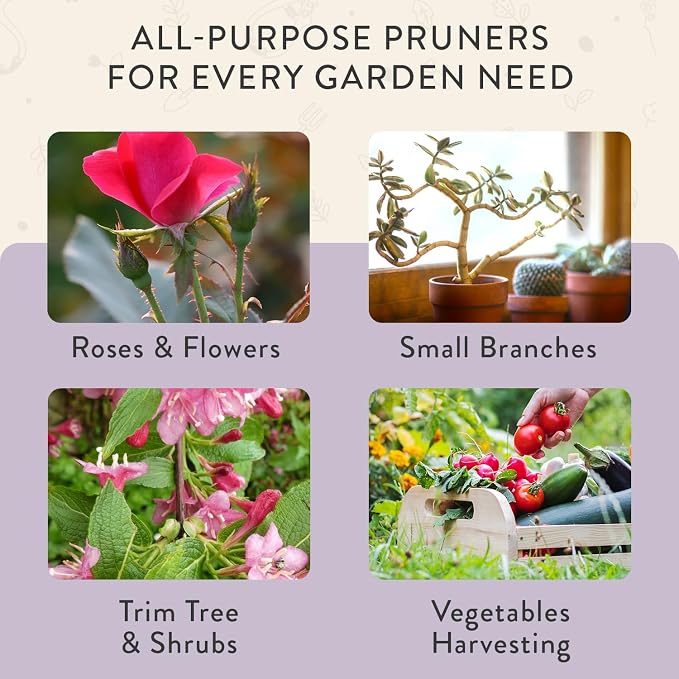 Modern Sprout Bypass Hand Pruners - Scissors - Gardening Tools - Lavender | Lightweight Pruning Tool W/ Easy-Lock - Sharp Bypass Carbon Steel Blade - Rust-Resistant - Reusable Holster for Storage