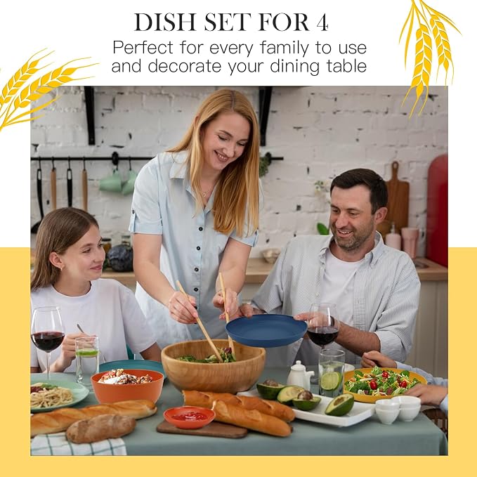 PYRMONT Wheat Straw Plate and Bowl Set 20 PCS Unbreakable Dinnerware Set Service for 4 Dishwasher & Microwave Safe Kitchen Dish Set for RV,Camping and Picnic,Kitchen Essentials-Multi
