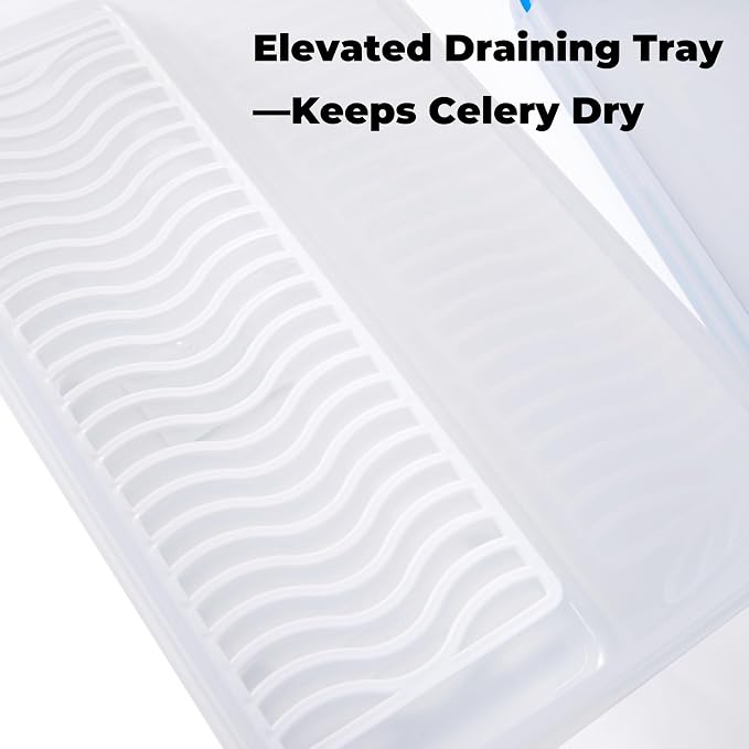 Celery Keeper for Refrigerator, 14 in 3.5 L Produce Container | Airtight Snap-Lock Lid, Draining Tray, Long Storage Bin, For Celery, Carrots, Greens And Refrigerator Produce