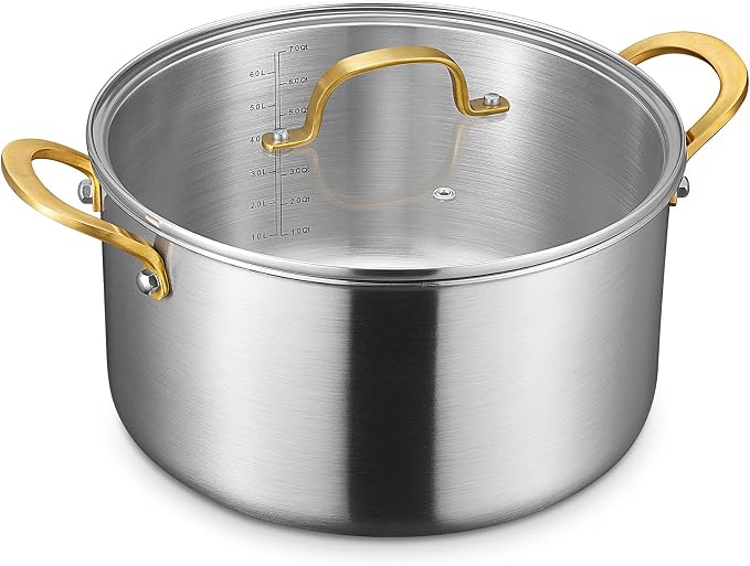 BEZIA 10 QT Stock Pot with Lid, Full Clad Tri-Ply Stainless Steel Soup Pot | Large Induction Cooking Pot, Uncoated & Built to Last, for Festive Party Drinks, Heavy-Duty Stock Base and Seafood Steaming
