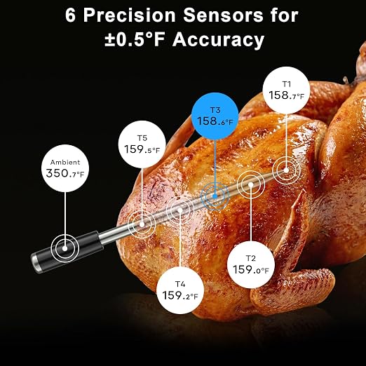SP2 Smart Wireless Meat Thermometer with Display Base, WiFi BBQ | NIST ±0.5°F Accuracy, Ultra-Thin Probe, 10X Long Range Signal, WiFi App Monitoring for BBQ, Grill, Smoker & Oven