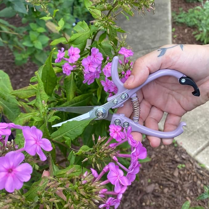 Modern Sprout Pruning Shears - Garden Snips - Herb Scissors - Multi 4-Pack | Lightweight Gardening Tool - Durable Carbon Steel Blade W/Easy-Lock - Gardening Supplies - Flower Cutter - Reusable Holster