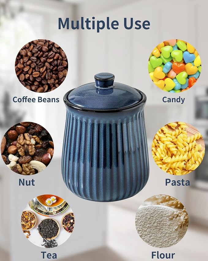 Hasense Storage Containers for Kitchen Counter, Airtight Food Jar with Lid, 88 oz Cookie Candy Jar for Coffee Beans, Tea-leave, Sugar, Salt, Flour, Spice, Dog Treat Container, Blue