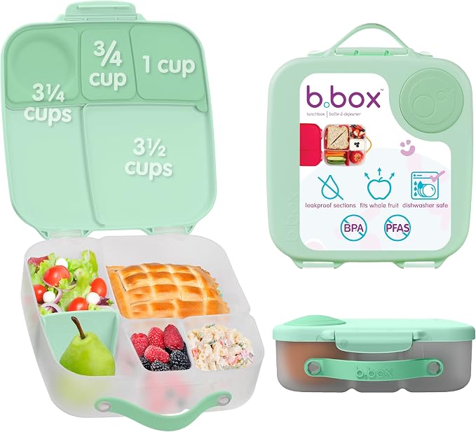 b.box Lunch Box, 8.5 Cup Bento Box for All Ages, Snack Box, Food Containers | Lunch Box Kids + Adults, Lunch Containers, 4 Compartments, Leak Proof, Dishwasher Safe, BPA Free, PFAS Free — Spearmint