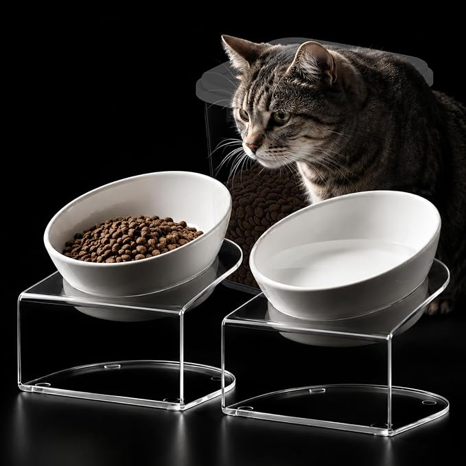 Elevated Cat Bowls, Tilted Melamine, White, 2 Pack | Two tilted melamine bowls support comfortable feeding for cats, kittens, flat-faced pets, and small dogs; white finish.