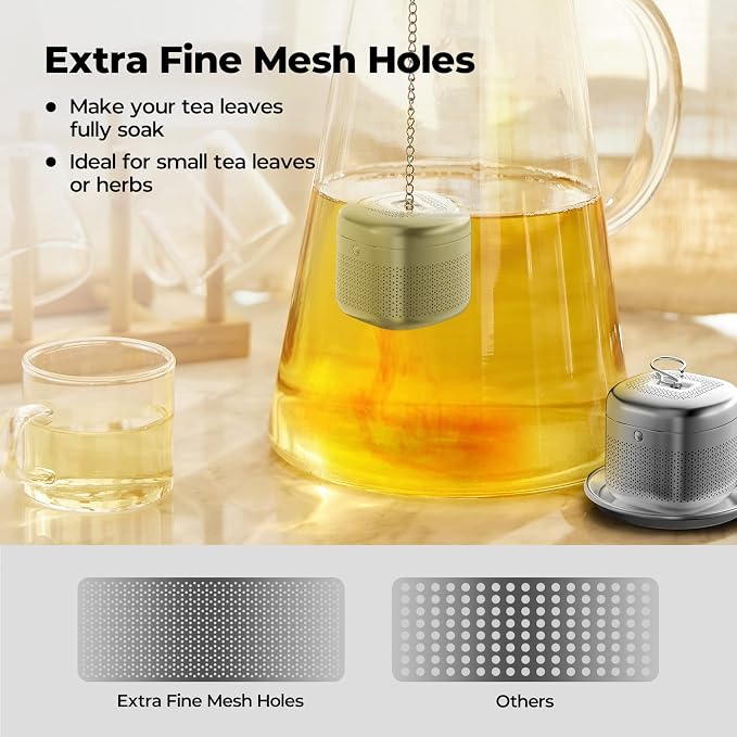 Reinmoson 2 Pack 304 Stainless Steel Tea Infuser for Loose Leaf Tea | Fine Mesh Tea Strainer Ball for Loose Leaf Tea, Come with 2 Saucers Loose Leaf Tea Steeper for Cup, Mug, Teapot