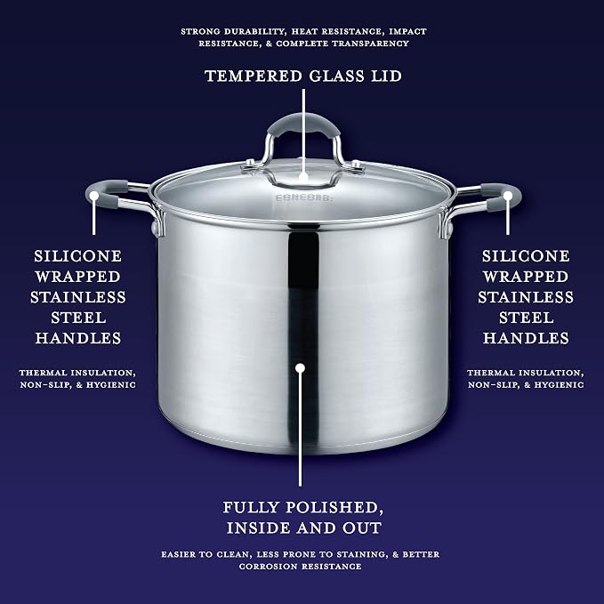 CONCORD Stainless Steel Stock Pot with Glass Lid (Induction Compatible) ((5 QT)