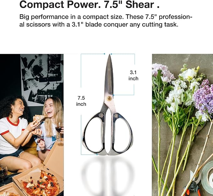 DRAGONFRUITEE All Purpose Kitchen Shear, Scissors for Home, Herbs, Sewing, Crafting and Office Cutting, Stainless Steel Razor Sharp Tip, Ergonomic Metal Handles, 7.5 inch, Silver