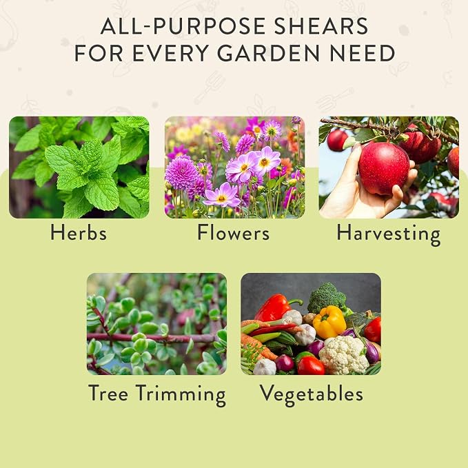 Modern Sprout Pruning Shears- Garden Snips-Herb Scissors- Chartreuse 1-Pack | Lightweight Gardening Tool - Durable Carbon Steel Blade W/Easy-Lock - Gardening Supplies - Flower Cutter - Reusable Holster