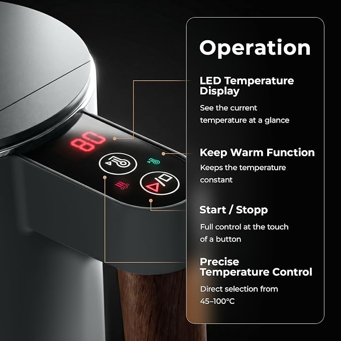 BALTER Electric Kettle with Temperature control, 113 °F – 212 °F, Tea pot, Stainless steel, double wall water kettle, BPA-free, quiet tea kettle, 1.5 L, 2200 W, Titanium Gray