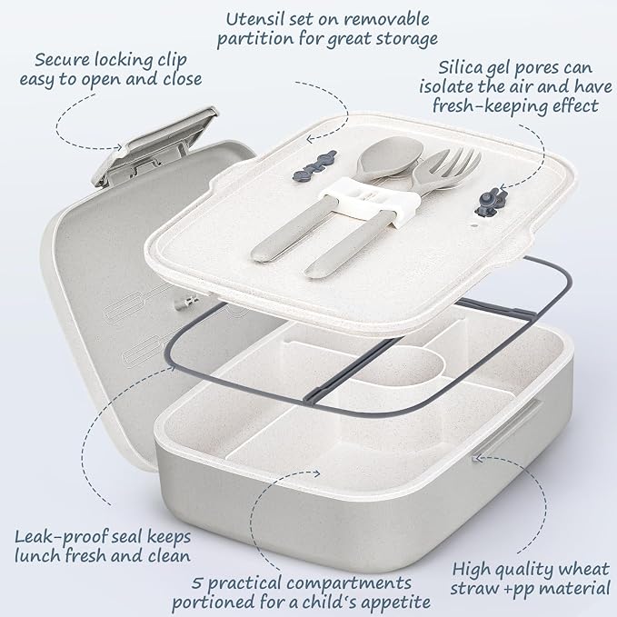 5 Compartmets Bento Box Adult Lunch Box with 3 Silicone Baking Cups