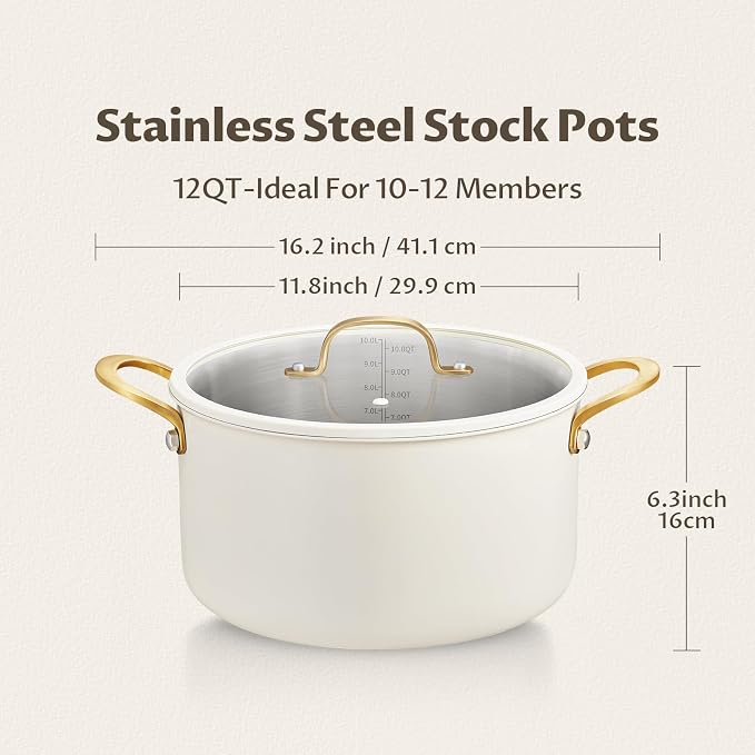 BEZIA 12 Quart Full Clad Try-Ply Stainless Steel Stock Pot, Induction Ready | Large Cooking Pot with Silent, Tight-Seal Silicone-Rimmed Glass Lid, Oven & Dishwasher Safe, for Family Gatherings & Hosting