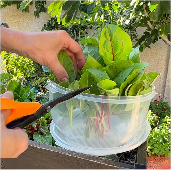 Trenton Gifts Lettuce And Vegatable Storage Keeper. Set of 2. 7" X 8".