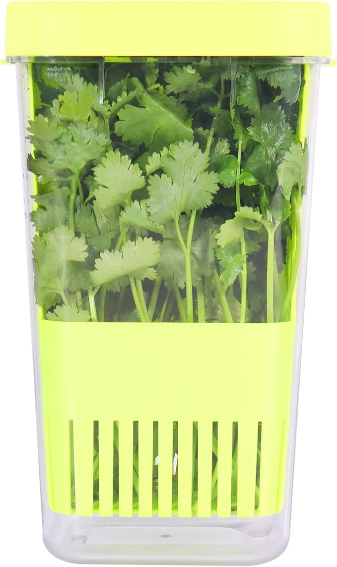 LUVCOSY Herb Keeper, BPA-Free Plastic Herb Saver with an Inner Basket for Cilantro, Mint, Parsley, and Asparagus, Keeps Fresh Herbs for 3 Times Longer,1Pcs, Green
