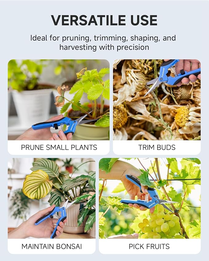 Fondwell 6.5" Small Garden Shears Precision Indoor Plant Trimming Scissors | 1-Pack Pruning Snips, Ultra-Sharp Micro-Tip Curved Blades, Comfortable Use, Safety - Best for Precision Cuts in Tight Spaces