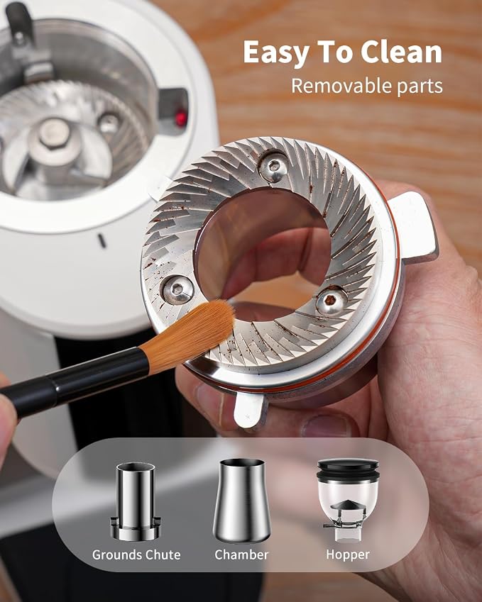 SHARDOR 64mm Flat Burr Coffee Grinder, 100 Settings, Anti-Static, White | Electric Bean Grinding, All-Metal Chamber, Portafilter Holder,Precision Timer, LED Display, 260W, Silicone Bellows, 120V Only