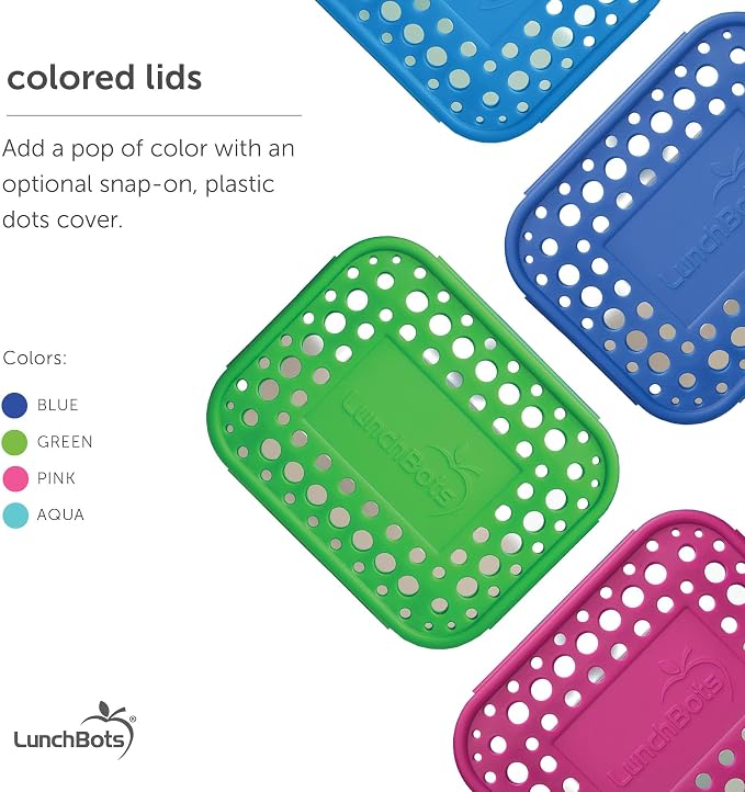 LunchBots Small Stainless Steel Kids Bento Box 4-Section 16oz