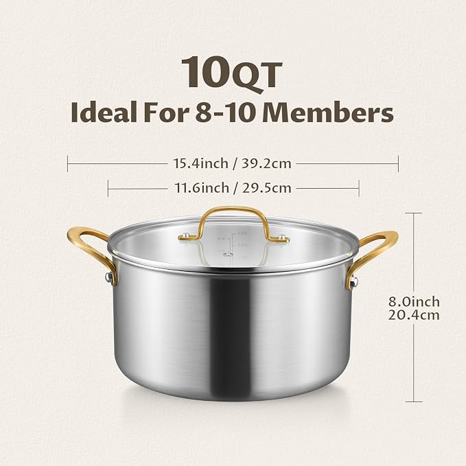 BEZIA 10 QT Stock Pot with Lid, Full Clad Tri-Ply Stainless Steel Soup Pot | Large Induction Cooking Pot, Uncoated & Built to Last, for Festive Party Drinks, Heavy-Duty Stock Base and Seafood Steaming