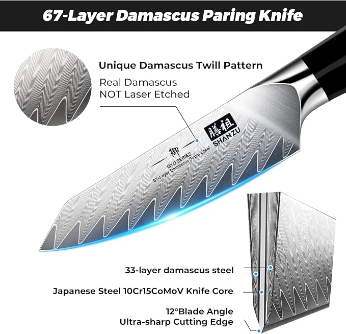 SHAN ZU Damascus Paring Knife,Fruit Knife 4 Inch | Professional Kitchen Knives, Japanese Damascus High Carbon Steel 67-Layer Fruit Carving Knives with G10 Handle/Gift Box