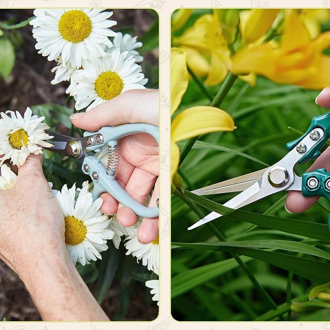 Modern Sprout Pruning Shears- Garden Snips-Herb Scissors- Chartreuse 1-Pack | Lightweight Gardening Tool - Durable Carbon Steel Blade W/Easy-Lock - Gardening Supplies - Flower Cutter - Reusable Holster