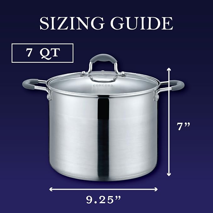 CONCORD Stainless Steel Stock Pot with Glass Lid (Induction Compatible) ((7 QT)