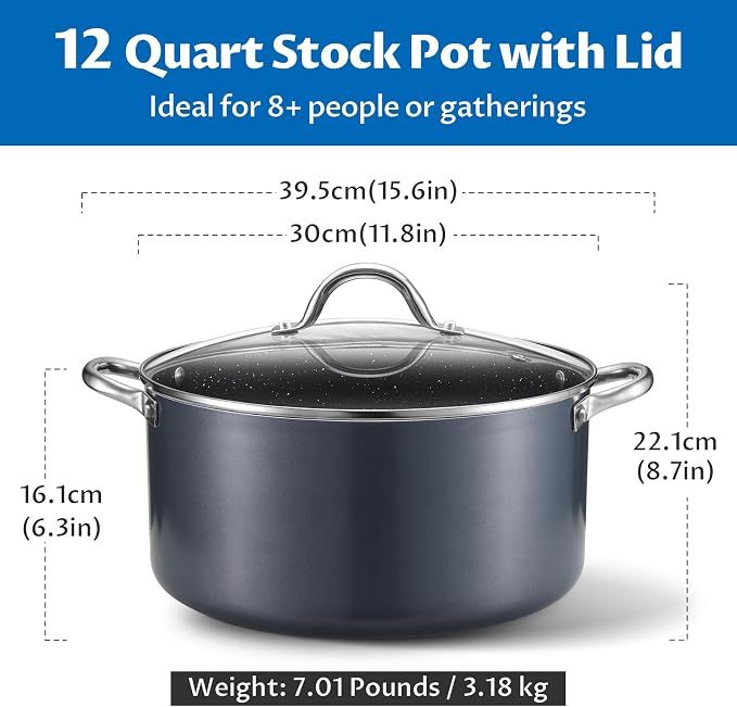 BEZIA 12 Quart Nonstick Stock Pot with Lid, Large Induction Cooking Pot | Soup Pot for Crowd Hosting & Bulk Cooking, All Stove Compatible, Oven & Dishwasher Safe, for Nutrient-Rich Simmering & Stews