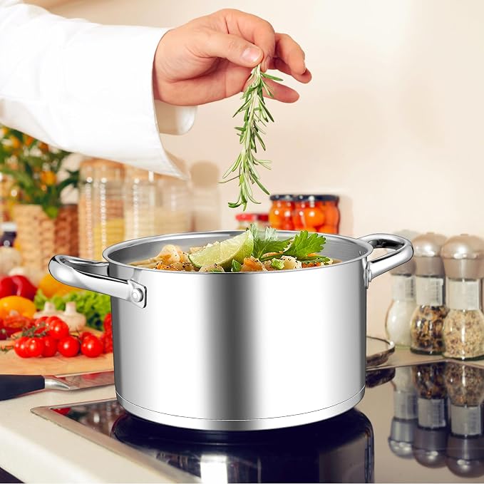 Leonyo 6QT Stock Pot with Lid, Stainless Steel Cooking Stockpots Induction | Visible Lid & 3-Ply Base for All Stoves, Heat-conducting & Heavy-Duty