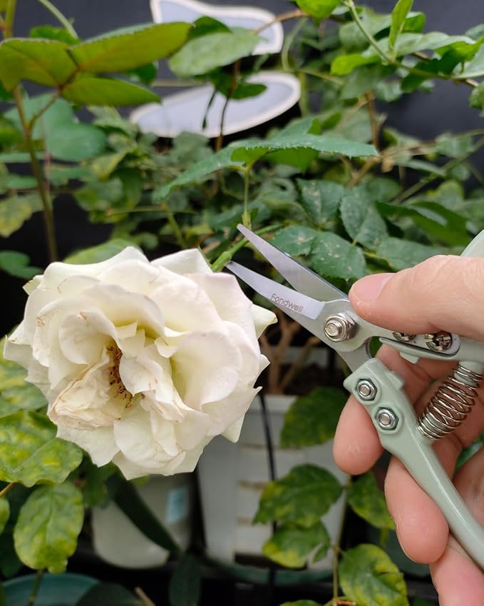 Fondwell 6" Small Pruning Shears Garden Scissors for Indoor Plants Trimming | 1-Pack Garden Snips, Ultra-Sharp Micro-Tip Straight Blades, Fatigue-Free - Best for Delicate Cutting Flower Stems Herbs Buds